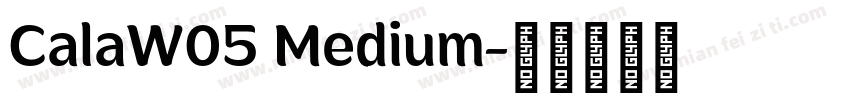 CalaW05 Medium字体转换